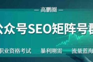 高鹏圈公众号SEO矩阵号群，实操20天纯收益25000+，普通人都能做