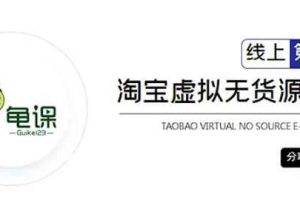 龟课·淘宝虚拟无货源电商5期，全程直播现场实操，一步步教你轻松实现躺赚