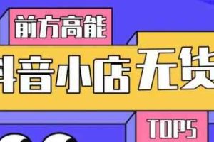 10分钟告诉你抖音小店项目原理，抖音小店无货源店群必爆玩法【视频课】