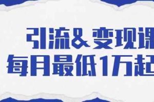 引流变现课：分享一整套流量方法以及各个渠道收入，每月最低1万起！