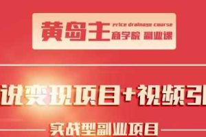 黄岛主小说变现副业项目：老项目新玩法，视频被动引流躺赚模式