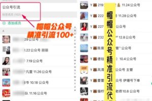 7天玩转微信公众号被动引流系统，日引100+精准流量【视频课程】