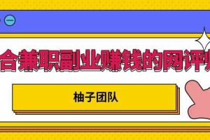 适合兼职副业赚钱的网评师，简单操作月入8000+【视频课程】