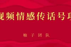 短视频情感传话号项目，细分领域的赚钱门道【视频课程】