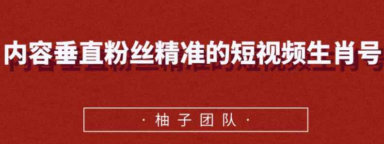 内容垂直粉丝精准的短视频生肖号，小众领域简单操作月入10000+【视频课程】