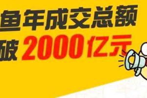 龟课·闲鱼无货源电商课程第19期：操作好一天出几单，赚个几百块