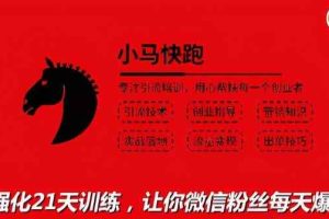 小马快跑引流培训高级课：教你被动引流日均100+精准客户，让你微信粉丝每天爆满
