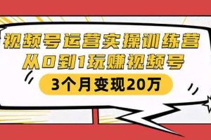 视频号运营实操训练营：从0到1玩赚视频号，3个月变现20万