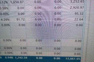 国外网赚：2020最新lead赚钱项目2.0，在家日赚500刀美金【视频教程】