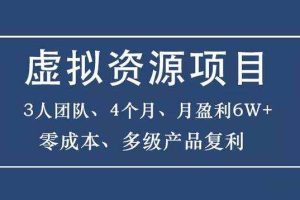 暴疯团队虚拟资源项目-新手、高客单价、多产品复利