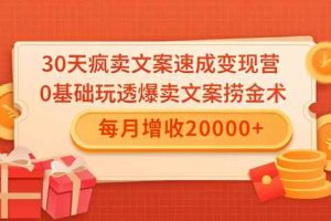 30天疯卖文案速成变现营，0基础玩透爆卖文案捞金术！每月增收20000+