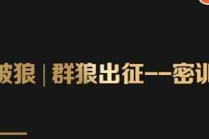 群狼出征密训营第3期：万能引流的底层逻辑公式首度公开解密！——流量爆破必修课