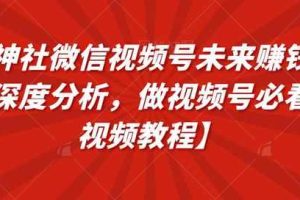 火神社微信视频号未来赚钱逻辑深度分析，做视频号必看【视频教程】