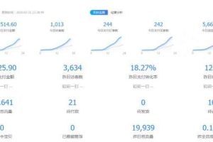 黑帽子淘宝虚拟卖货项目，单店月赚5000，可批量放大操作！【视频教程】