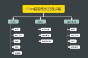 王半圈：Boss直聘引流变现详解，让网络赚钱更简单!【视频课程】