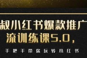 狼叔小红书爆款推广引流训练课5.0，手把手带你玩转小红书（17节实操视频+话术）