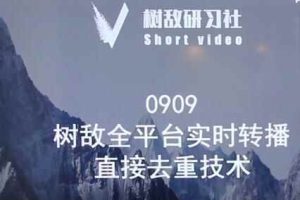 树敌0909抖音直播技术：全平台实时转播，抖音站内直接去重
