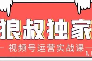 狼叔视频号运营实战课，带你深度入手微信视频号1.0，从0粉丝开始快速涨粉变现