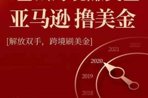 亚马逊撸美金项目，0基础跨境赚美金，解放双手，跨境刷美金【视频课程】