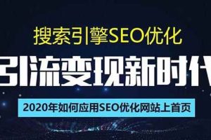 SEO搜索引擎优化总监实战VIP课堂【透析2020最新案例】快速实现年新30w(第9期)