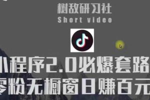 树敌研习社6月抖音赚钱课程：抖音小程序2.0必爆套路零粉无橱窗日赚百元玩法