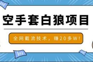 2020最新空手套白狼项目，全网批量截流技术，一个月实战成功赚20多W+