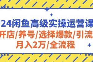 2024闲鱼高级实操运营课程：开店/养号/选择爆款/引流/月入2万/全流程