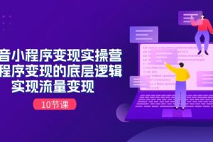 (11256期)抖音小程序变现实操营,小程序变现的底层逻辑,实现流量变现(10节课)