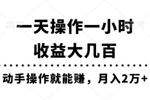 (11263期)一天操作一小时,收益大几百,动手操作就能赚,月入2万+教学