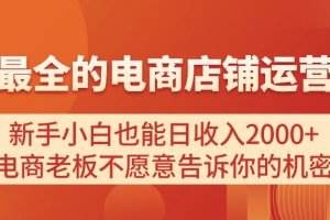 (11266期)电商店铺运营教学,新手小白也能日收入2000+,电商老板不愿意告诉你的机密