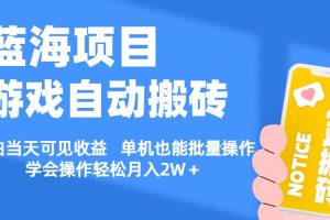 (11265期)【蓝海项目】游戏自动搬砖 小白当天可见收益 单机也能批量操作 学会操…