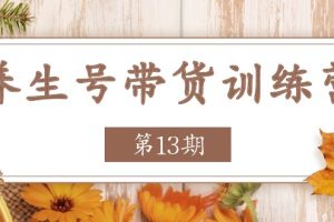 (11275期)养生号-带货训练营【第13期】收益更稳定的玩法,让你带货收益爆炸