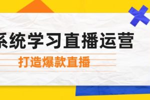 系统学习直播运营:掌握起号方法、主播能力、小店随心推,打造爆款直播