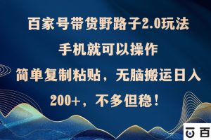 (12804期)百家号带货野路子2.0玩法,手机就可以操作,简单复制粘贴,无脑搬运日…