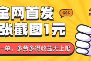 全网首发，一张截图1块钱，一分钟一单，多劳多得，收益无上限