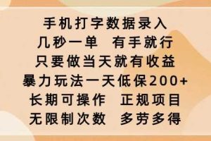 手机打字数据录入，几秒一单，有手就行，只要做当天就有收益，暴力玩法一天低保2张