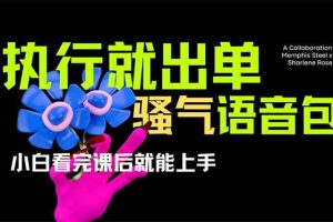 （14170期）爆火全网的开车导航骚气语音包,只要执行就出单，小白看完课程就能实操…