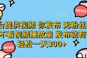 (14317期)平台提供视频 你发布 无粉丝要求 不看视频播放量 发布就有钱 轻松一天300+