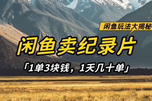 闲鱼卖纪录片,简单又赚钱的小项目,1单3块钱 1天几十单