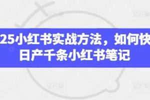 2025小红书实战方法,如何快速日产千条小红书笔记
