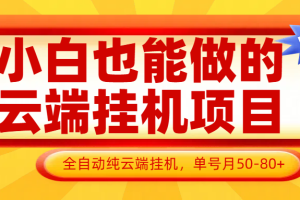小白也能做的云端挂机项目无需操作，云端挂机，支持批量，单号月50-100，完全解放双手