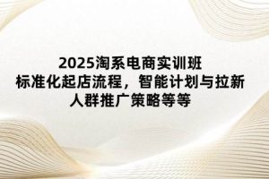（14522期）2025淘系电商实训班：标准化起店流程，智能计划与拉新，人群推广策略等等