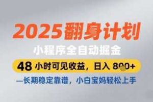2025小程序全自动掘金，48 小时可见收益，日入8张，长期稳定靠谱，小白宝妈轻松上手【揭秘】