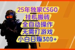25年独家CSGO挂G搬砖，全自动操作，无需打游戏，小白日入3张+【揭秘】