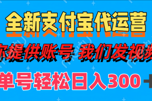 全新支付宝代运营你提供账导 我们发视频单号轻松日入300+