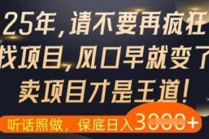 什么？25年你还在疯狂找项目做，醒醒吧，看完这些你全都懂了【揭秘】