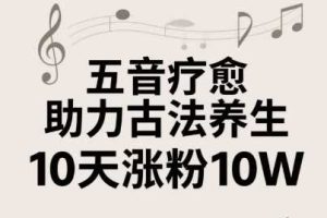 古法五音养生教程，五音疗愈的视频的制作方法，2-4小时就能学会，作者10天涨粉10W
