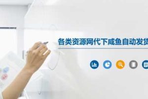 各类资源网代下咸鱼自动发货