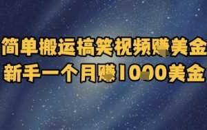 简单搬运搞笑视频挣美金，新手一个月入1k美金