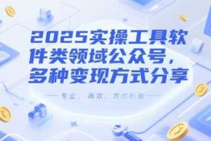 2025实操工具软件类领域公众号，多种变现方式分享